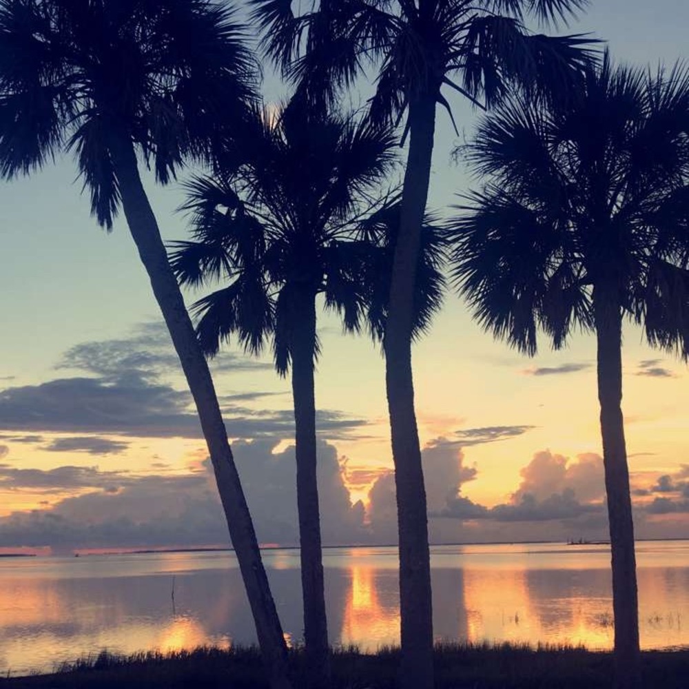 Meet your Posher, Ansley